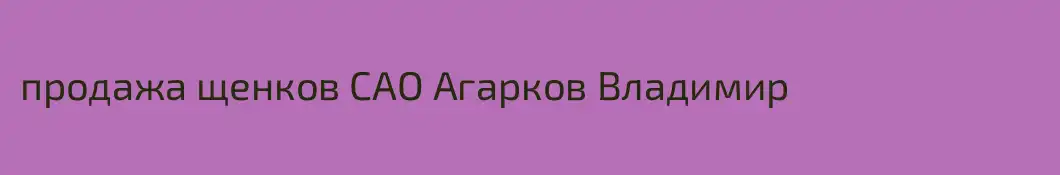 продажа щенков САО Агарков Владимир